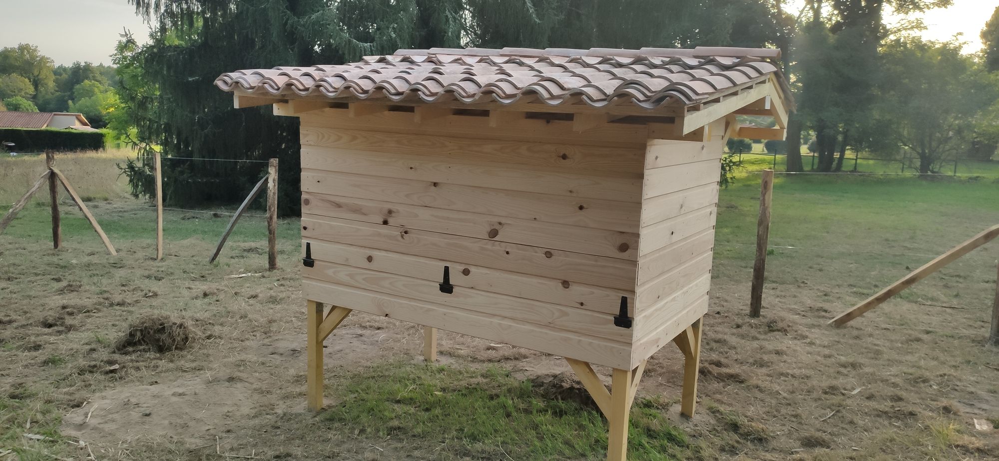 IMG_20210924_185228_1